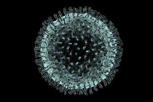 Corona virus